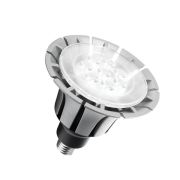 Светодиодные LED лампы PAR38