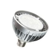 Светодиодные LED лампы PAR30
